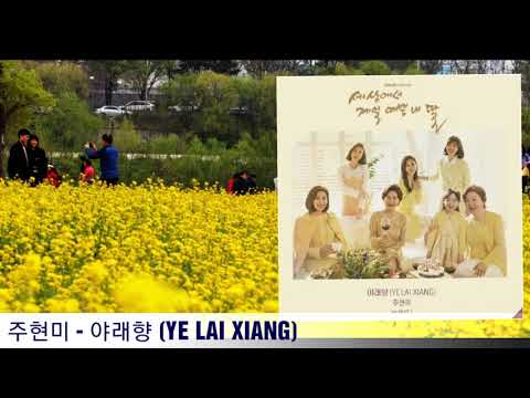 너의 노래를 들려줘