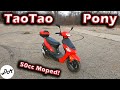 2018 Taotao Pony 50cc Moped – Ownership Update