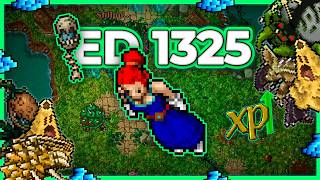 ED 1325 Hunt x4 Monster Graveyard (Hz 8) 17kk/h Raw + 6.4kk Profit - Tibia Hunt [15.25]