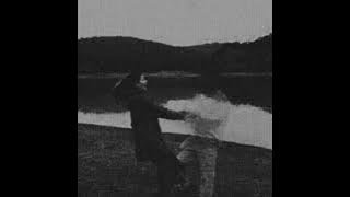 searows - house song