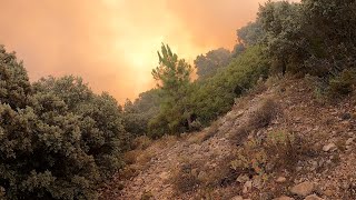 Incendio forestal en el Cerro Gordo (Caravaca de la Cruz)