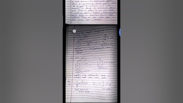 TERM 2,MODEL TEST PAPER OF CHEMISTRY WITH SOLUTIONS| SOLVED MODEL TEST PAPER|CLASS +2 | PSEB|#shorts