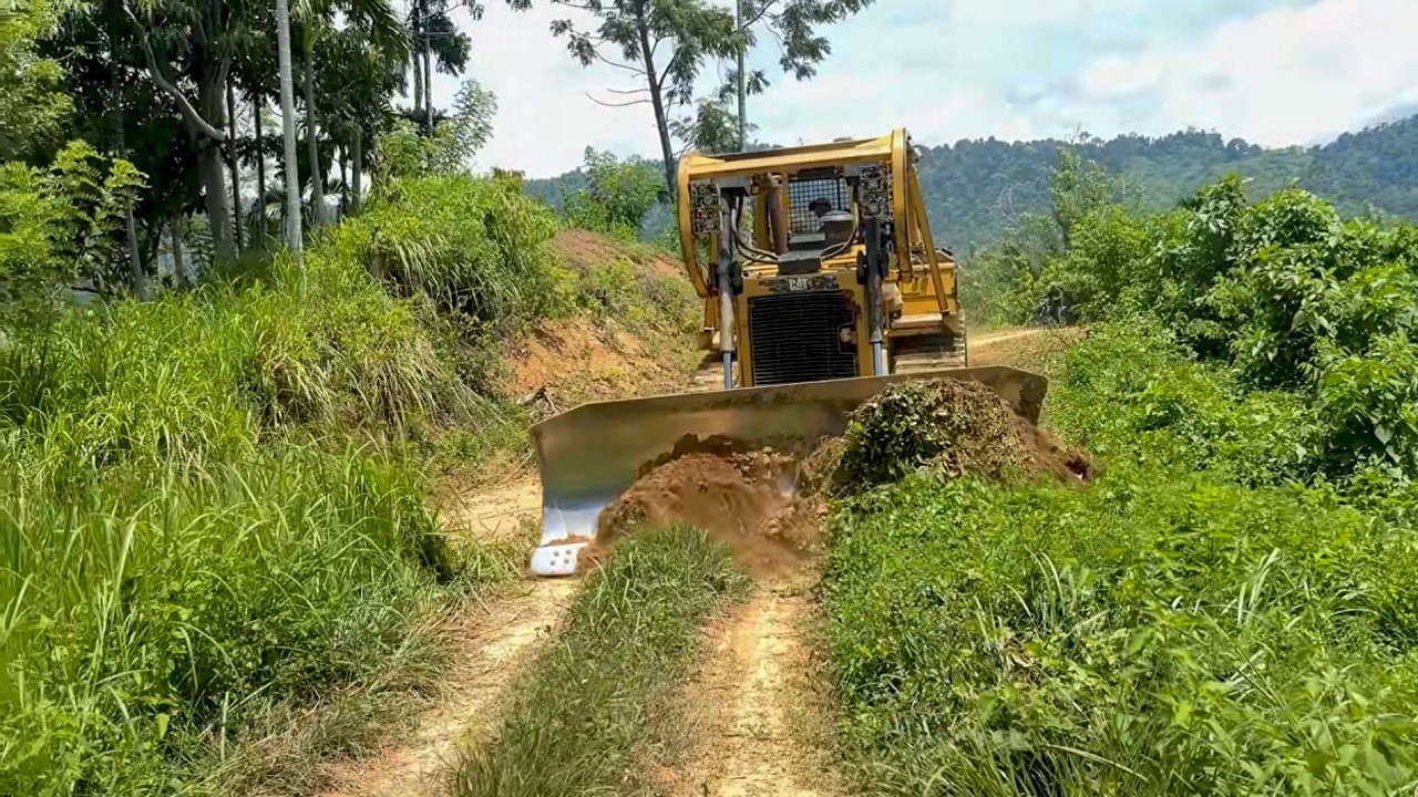 Incredible Landfill Job ! Be Watchful KOMATSU DOZER D41P Clearing Forest Very Good Work Dump Truck