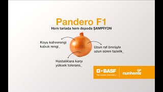 Basf I Nunhems Pandero F1