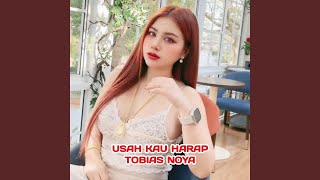Download Lagu Usah Kau Harap Download Lagu Usah Kau Harap