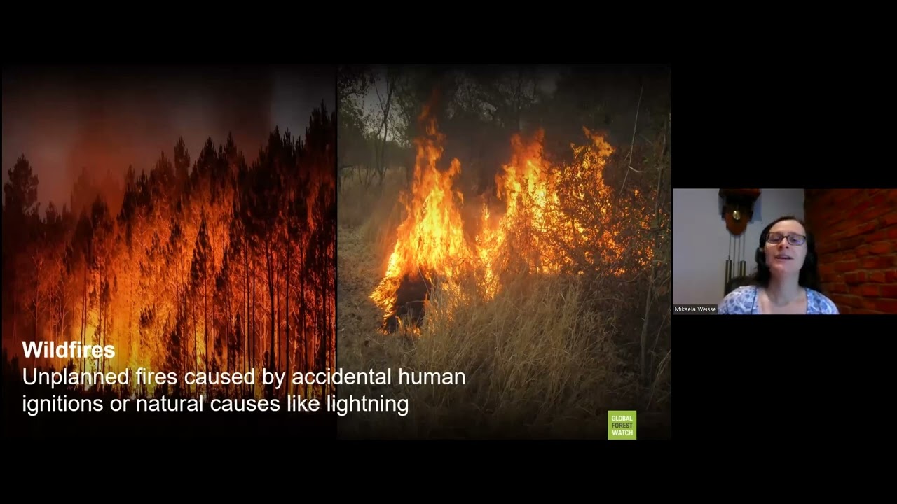 Download Using Global Forest Watch to Explore Active Fires and Trends (English)