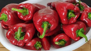 Kapya Bi̇berden En Kolay Kişlik Tari̇f İstersem Mi̇safi̇re Yapiyorum Di̇lersem Yemeğe Katiliyorum🤤💯