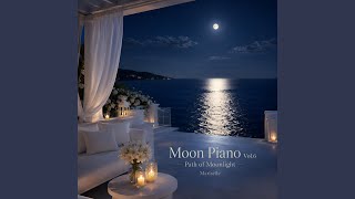 Moonlit Silence
