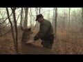 Indiana DNR's Robo-Deer Sting Operation | The Weekly Special