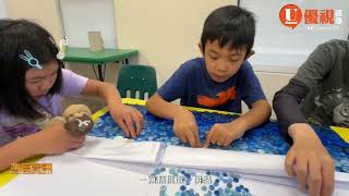 20260822優視《灣區資訊》萬顆鈕扣打造巨型創作 FCSN藝術展展至8/28 加州費利蒙 FCSN 中心開放參觀