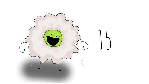 One Night At Flumpty