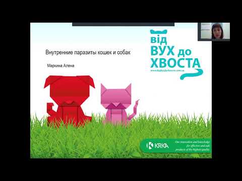 Видео: Милпразон за котки: инструкции за употреба, показания и противопоказания, странични ефекти, рецензии и аналози