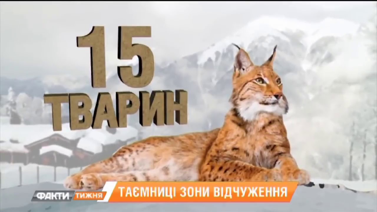 Рыжая Из Чернобыля В Купальнике Рыжая Из Чернобыля В Купальнике