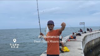 Sensasi strike mancing ikan Ekor Kuning Dam Hijau Muara Baru | Pejalan lokal  #Edisimancing