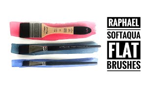 Raphael Soft Aqua Flat Watercolor Brushes screenshot 5