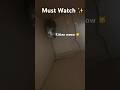 This Tiny Kitten’s Voice Will Melt Your Heart | Kitten Meow #shorts #kitten