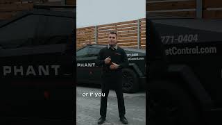 Pest Problems in New Developments (What Property Managers Miss)