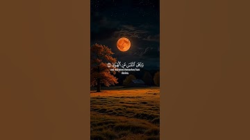 أكتب شيء تؤجر عليه 😴 💚 قران كريم | إسلام صبحي