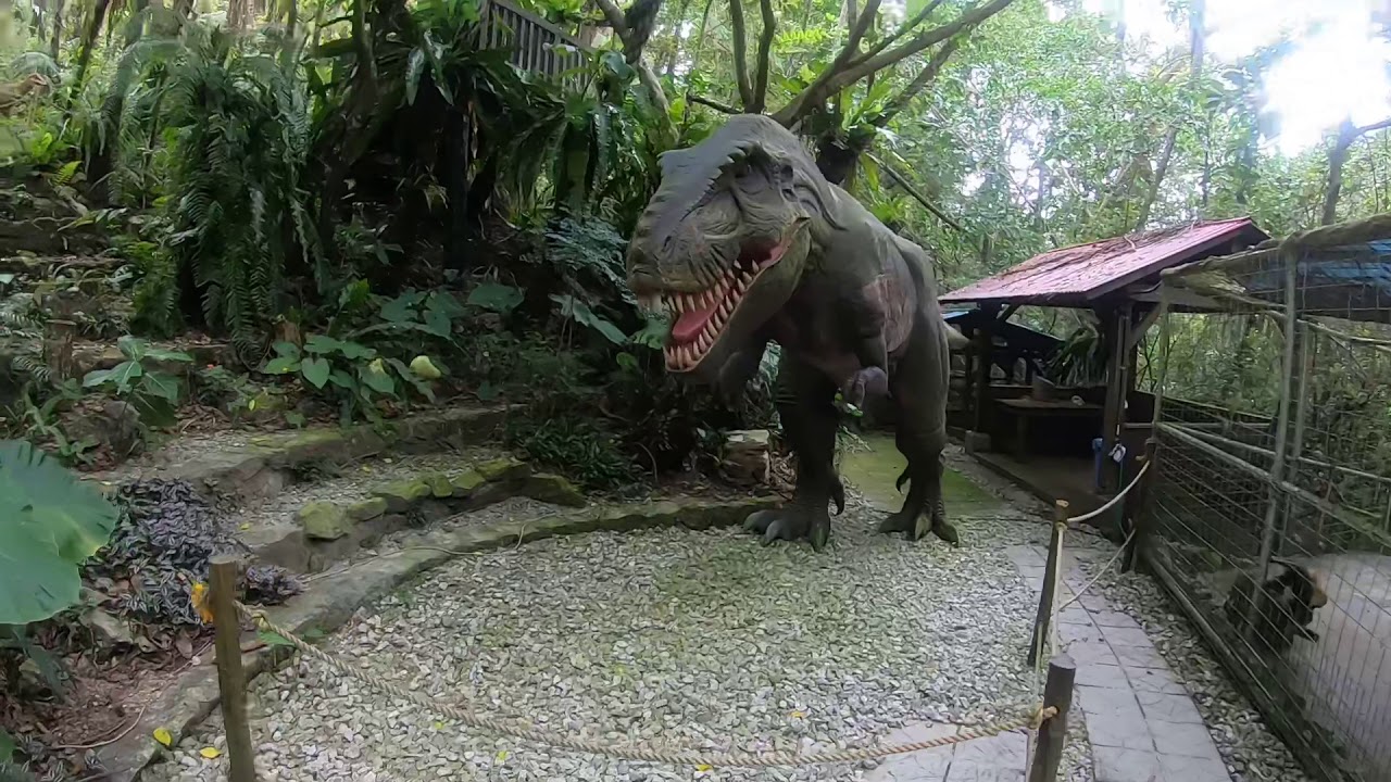 【沖繩名護親子景點】DINO恐龍公園 山原亞熱帶之森,侏儸紀公園!! @ 小妞的生活旅程 :: 痞客邦