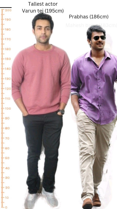 South Actors height comparison #vijay #prabhas #maheshbabu #alluarjun