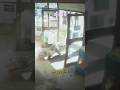 J 243 Les Prédateurs Vont Gâcher Vos Braquages Gta Gta6 Wildlife Animals mp3