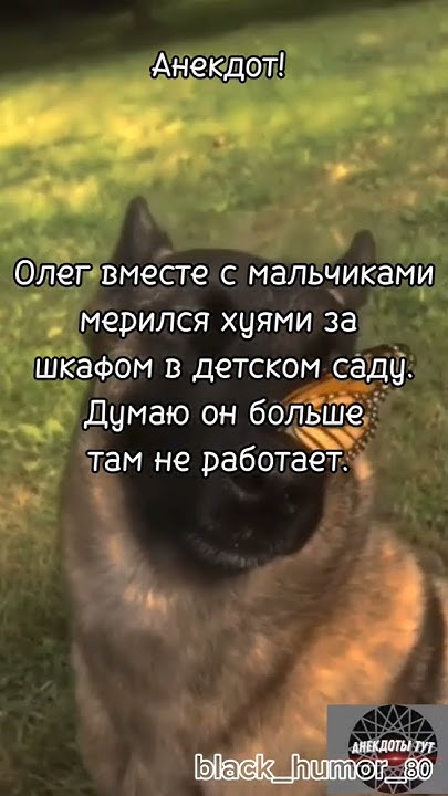 #анекдоты #смешныеживотные #смешные анекдоты Лучшие черные анекдоты! #2 ...