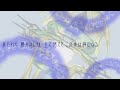 (HD Edition) Ar Tonelico 2 METHOD_METAFALICA/. with lyrics