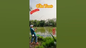 Cần Toro Cau Cá Tra #Shorts