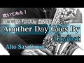 Another Day Goes By/Lizabet(日曜劇場『DCU』主題歌)Sax Cover