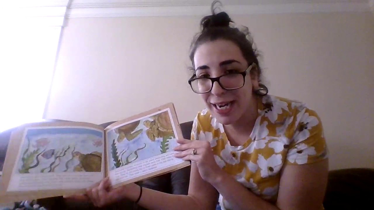 Sea Turtles by Gail Gibbons Read Aloud YouTube