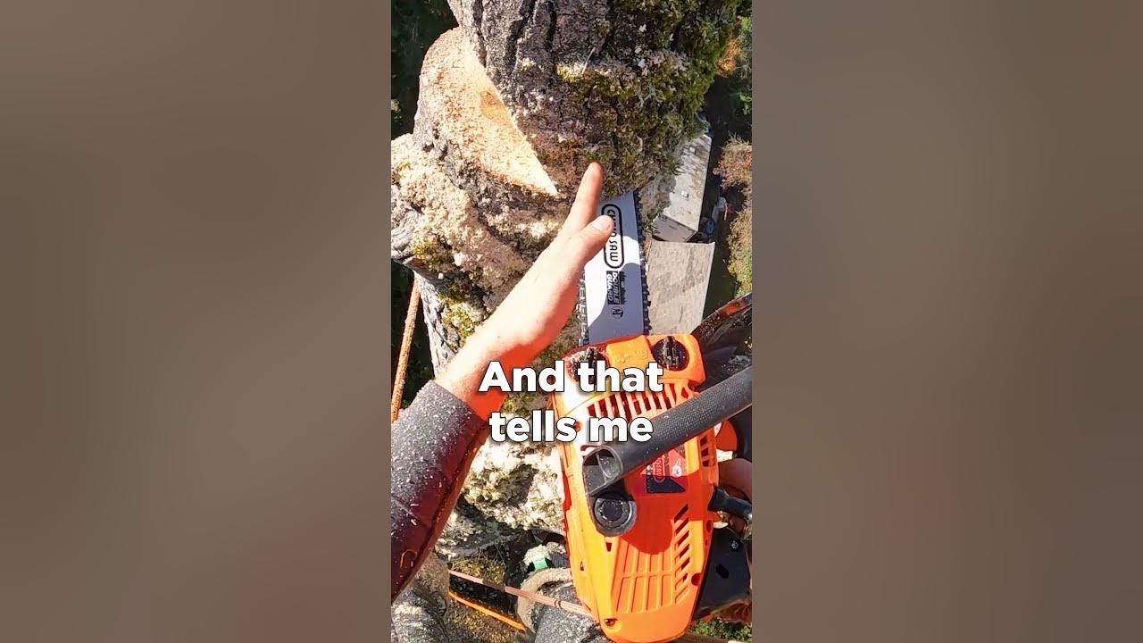Pushing Chainsaw Chainsaw to the limit! 💪 shorts YouTube