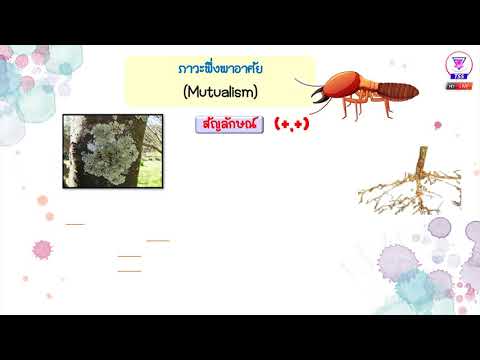 Thanyasith P.5 Science EP.5 I เรื่องความสัมพันธ์ระหว่างสิ่งมีชีวิตกับสิ่งมีชีวิต