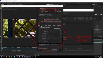 Workflow Tutorial // Magic Lantern Raw Video // Canon EOS 700D
