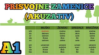 A1  LEKCIJA 19 ●PRISVOJNE ZAMENICE U AKUZATIVU