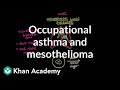 Occupational Lung Diseases Quiz