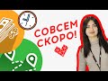 АНОНС НОВОВВЕДЕНИЙ | Любимое такси