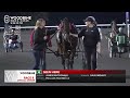 Mohawk, Sbred, September 25, 2026 Race 8 | Woodbine Horse Race Replay