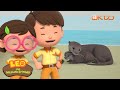 Leo the Wildlife Ranger | This Otter Is LOST, Where Is It's Family?🌿| Full Episode | @Mediacorp okto