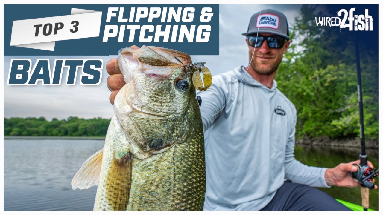 Hunter Shryock's Top 3 Flipping and Pitching Baits 