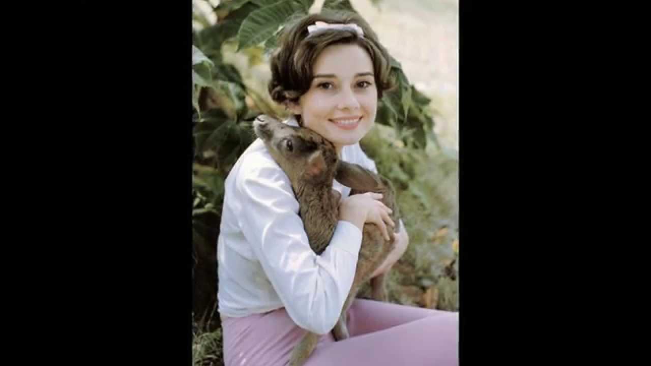Audrey Hepburn To Audrey With Love Windows Are Rolled Down