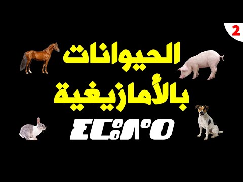 أسماء الحيوانات باللغة الأمازيغية