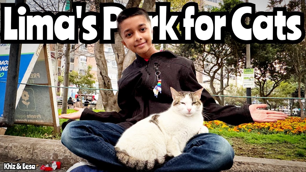 Why Kennedy Park in Lima, Peru is the Best Free Activity for Kids! 