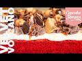 Velvet Volcano Sheet Cake | Cooks The Books | Cupcake Jemma