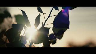 Swirl: Helios 44 Red Pi Footage (1958–1960 KMZ, 13‑Blade M42 Lens Test)