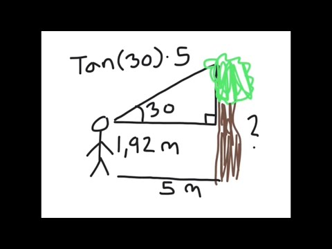 Beregning af højde med tangens (trigonometri)