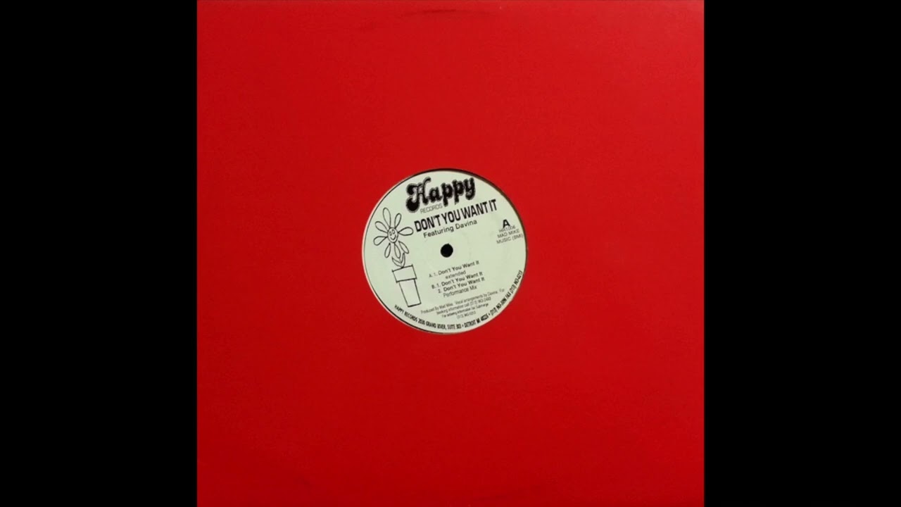 洋楽 Mad Mike !! Davina - Don't You Want It DON'T YOU WANT IT/DAVINA/ダヴィーナ/1992年MAD MIKEプロデュース