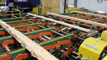 Curve Sawing Combination Gang / Board Edger - Pukall Lumber Co