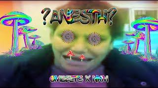 🍄ANESTIS ON ACID🍄(GMBeaTz x NKM - RMX)