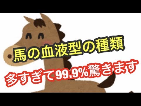 馬の血液型の種類が信じられないくらい多い 雑学 Youtube