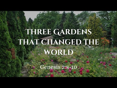 Related Embedded Video Item Thumbnail